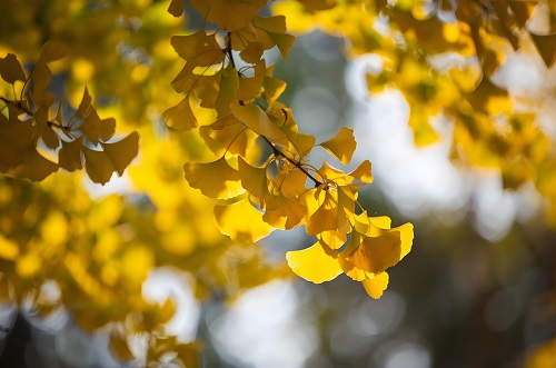 立秋｜萬物有（yǒu）時，生態（tài）有序&mdash;&mdash;與自然共赴一場「秋收之約」
