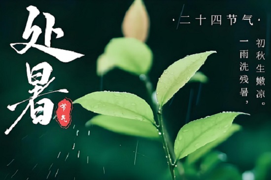 處暑：夏日的謝幕，秋意的序曲